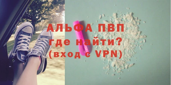 индика Верхний Тагил