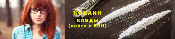 индика Верхний Тагил