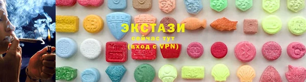 индика Верхний Тагил