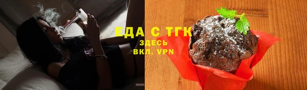 индика Верхний Тагил