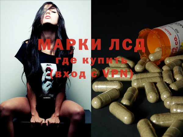 индика Верхний Тагил