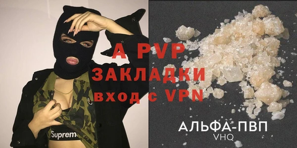 индика Верхний Тагил