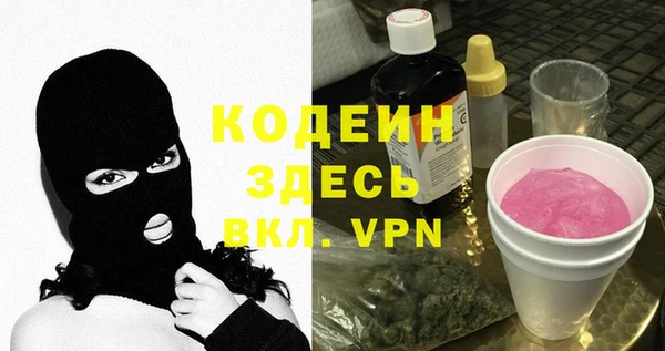 индика Верхний Тагил