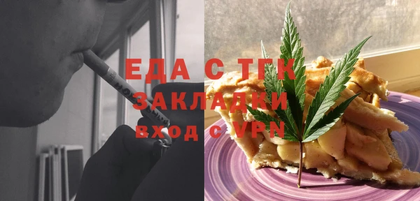индика Верхний Тагил
